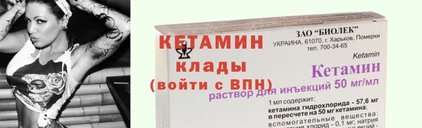 твердый Бородино