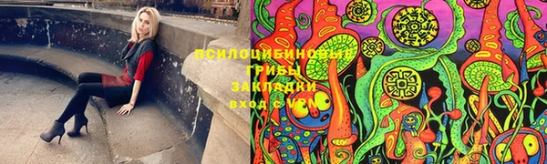 хмурый Бронницы