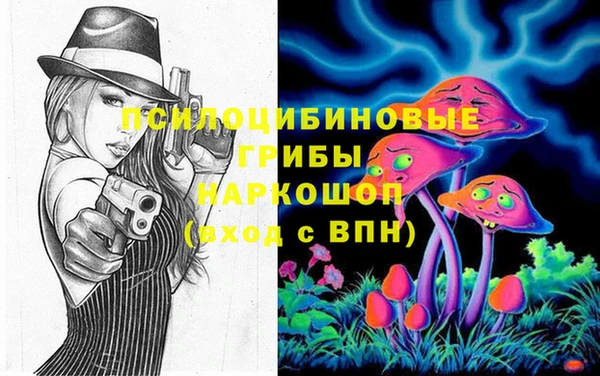 хмурый Бронницы