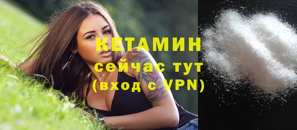 твердый Бородино