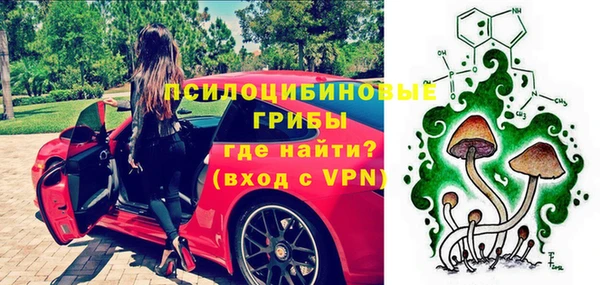 твердый Бородино