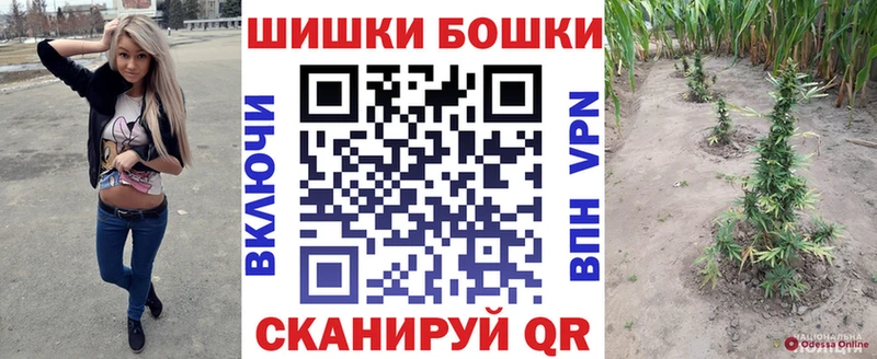 где продают   Новый Оскол  Бошки Шишки марихуана 